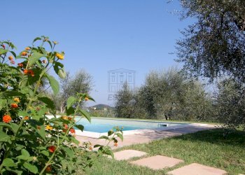 DSC_0087.JPG - Casale Palaia - foto 25