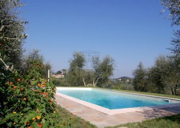 DSC_0086.JPG - Casale Palaia - foto 26