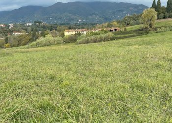 Terreno (1).jpg - Casale Via del Cantone 10, Lucca - foto 4
