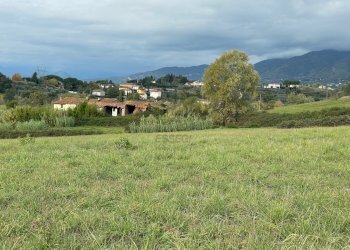 Terreno (2).jpg - Casale Via del Cantone 10, Lucca - foto 5