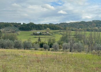 Terreno (4).jpg - Casale Via del Cantone 10, Lucca - foto 6