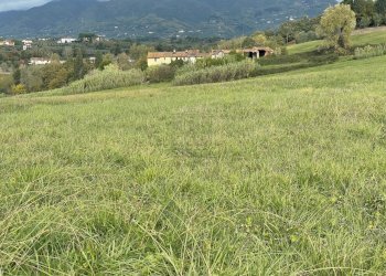 Terreno (5).jpg - Casale Via del Cantone 10, Lucca - foto 7