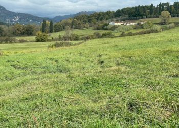 Terreno (3).jpg - Casale Via del Cantone 10, Lucca - foto 8