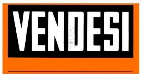 . - Ufficio Lucca - foto 1