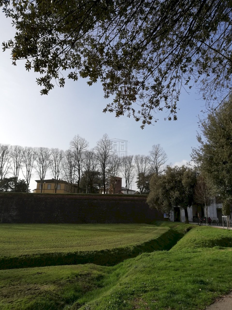 IMG_20200211_152004.jpg - Locale Commerciale Lucca - foto 1