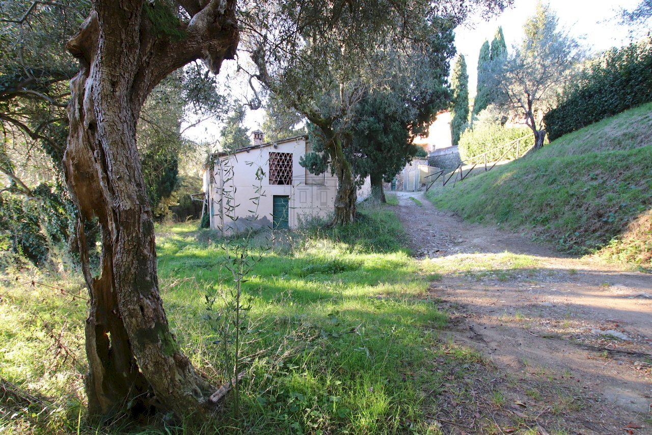 vendesi rustico da ristrutturare lucca collina IMG - Casale traversa II 77, Lucca - photo 1