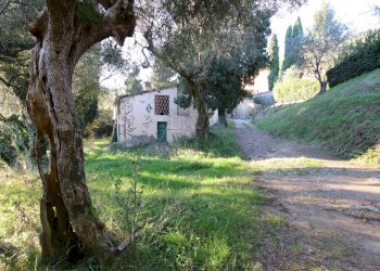 vendesi rustico da ristrutturare lucca collina IMG - Casale traversa II 77, Lucca - foto 1