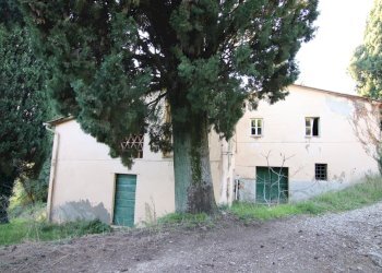 vendesi rustico da ristrutturare lucca collina IMG - Casale traversa II 77, Lucca - foto 7