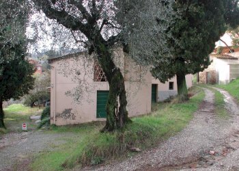 DSCN2796.JPG - Casale traversa II 77, Lucca - foto 12