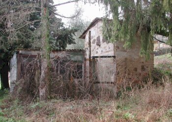 DSCN2784.JPG - Casale traversa II 77, Lucca - foto 16