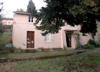 DSCN2788.JPG - Casale traversa II 77, Lucca - foto 18