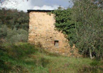 DSCN2789.JPG - Casale traversa II 77, Lucca - foto 19