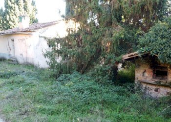 vendesi rustico da ristrutturare lucca collina DJI - Casale traversa II 77, Lucca - foto 26