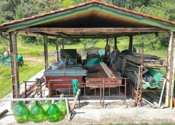 vendesi rustico con piscina e vista panoramica luc - Casale Via di Magazzeno 324, Lucca - foto 15
