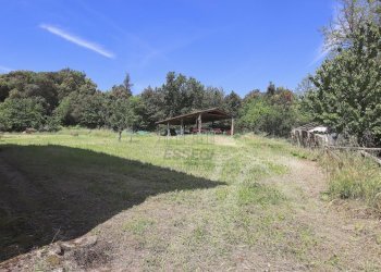 vendesi rustico con piscina lucca colline IMG_6303 - Casale Via di Magazzeno 324, Lucca - foto 16