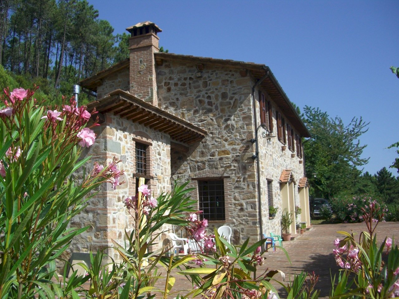 CIMG1753.JPG - Casale viadon aldo mei, Buti - photo 1