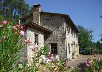 CIMG1753.JPG - Casale viadon aldo mei, Buti - photo 1