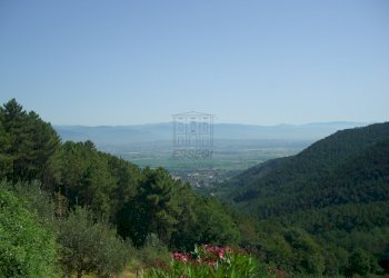 CIMG1745.JPG - Casale viadon aldo mei, Buti - photo 6