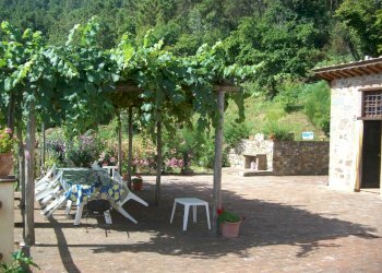 CIMG1748.JPG - Casale viadon aldo mei, Buti - photo 8