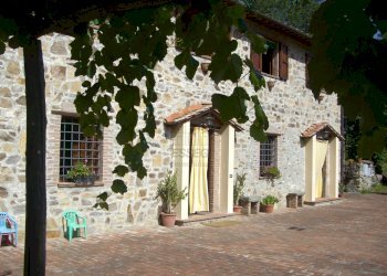 CIMG1749.JPG - Casale viadon aldo mei, Buti - photo 2