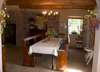 CIMG1762.JPG - Casale viadon aldo mei, Buti - photo 11