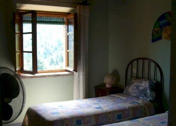 CIMG1766.JPG - Casale viadon aldo mei, Buti - photo 13