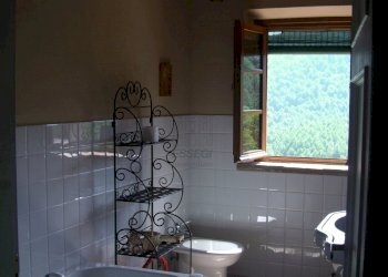 CIMG1769.JPG - Casale viadon aldo mei, Buti - photo 14