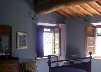 CIMG1770.JPG - Casale viadon aldo mei, Buti - photo 15