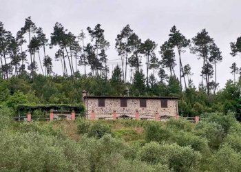 Rustico in collina con terreno e piscina (2).jpeg - Casale viadon aldo mei, Buti - photo 20
