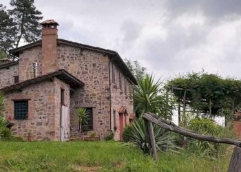 Rustico in collina con terreno e piscina (3).jpeg - Casale viadon aldo mei, Buti - photo 21