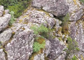 Rustico in collina con terreno e piscina (10).jpeg - Casale viadon aldo mei, Buti - photo 23