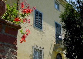 DSC05933.JPG - Villa Lucca - foto 6