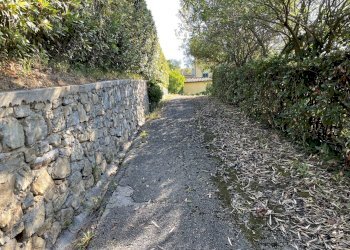 IMG_0663.jpg - Villa Lucca - foto 18