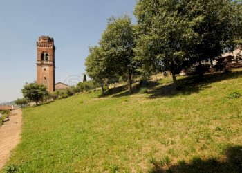 terreno - Terreno edificabile via castello SNC, Castelgomberto - foto 1