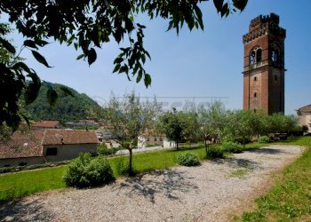 terreno - Terreno edificabile via castello SNC, Castelgomberto - foto 2