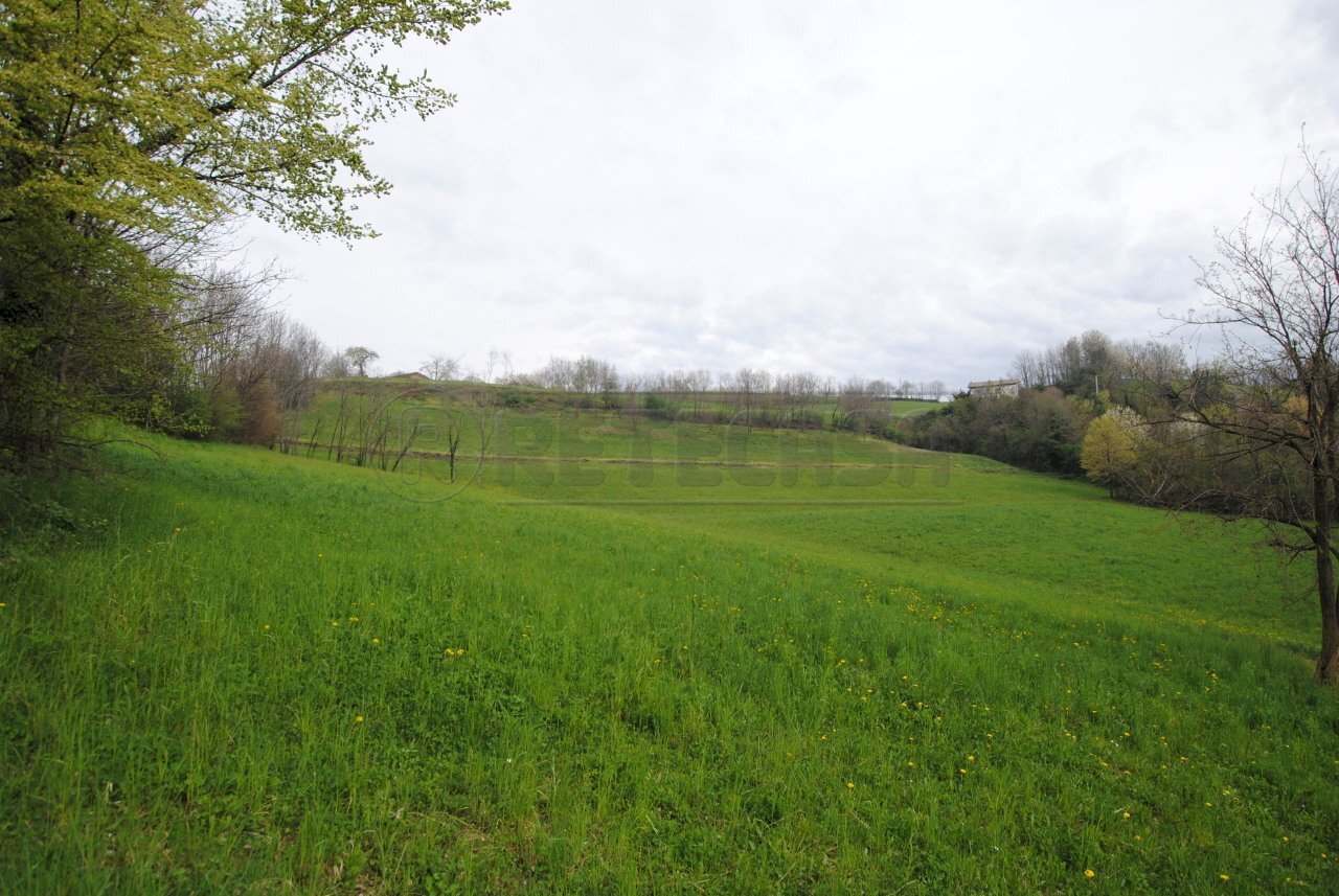 DSC_0042.JPG - Terreno edificabile via rigon  snc, Brogliano - foto 3