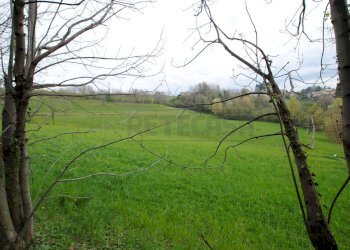 DSC_0043.JPG - Terreno edificabile via rigon  snc, Brogliano - foto 1