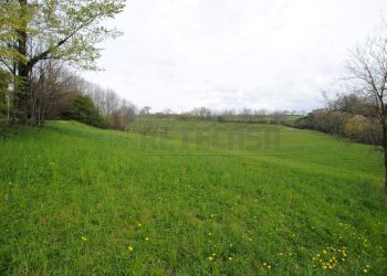DSC_0041.JPG - Terreno edificabile via rigon  snc, Brogliano - foto 2
