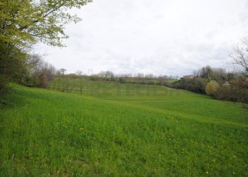 DSC_0042.JPG - Terreno edificabile via rigon  snc, Brogliano - foto 3