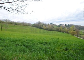 DSC_0044.JPG - Terreno edificabile via rigon  snc, Brogliano - foto 4