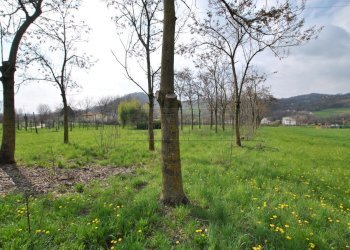 terreno - Terreno agricolo via Monte Verlaldo 113/C, Cornedo Vicentino - foto 1