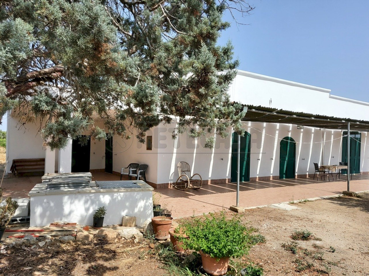 20210725_152816.jpg - Casale Salentina Meridionale 12, Gallipoli - photo 1