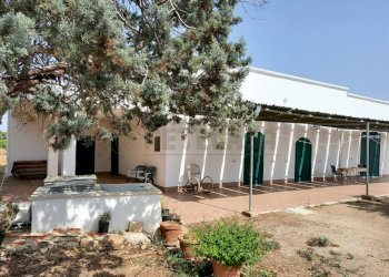 20210725_152816.jpg - Casale Salentina Meridionale 12, Gallipoli - foto 1