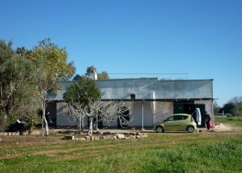 P1110448.JPG - Casale Salentina Meridionale 12, Gallipoli - foto 3