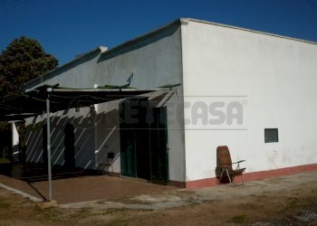 P1110449.JPG - Casale Salentina Meridionale 12, Gallipoli - foto 4