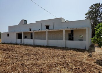 20210725_152003.jpg - Casale Salentina Meridionale 12, Gallipoli - foto 6