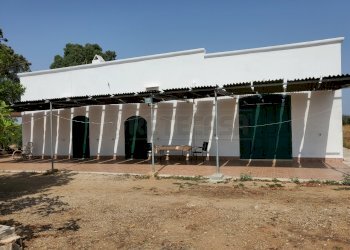 20210725_152745.jpg - Casale Salentina Meridionale 12, Gallipoli - foto 8