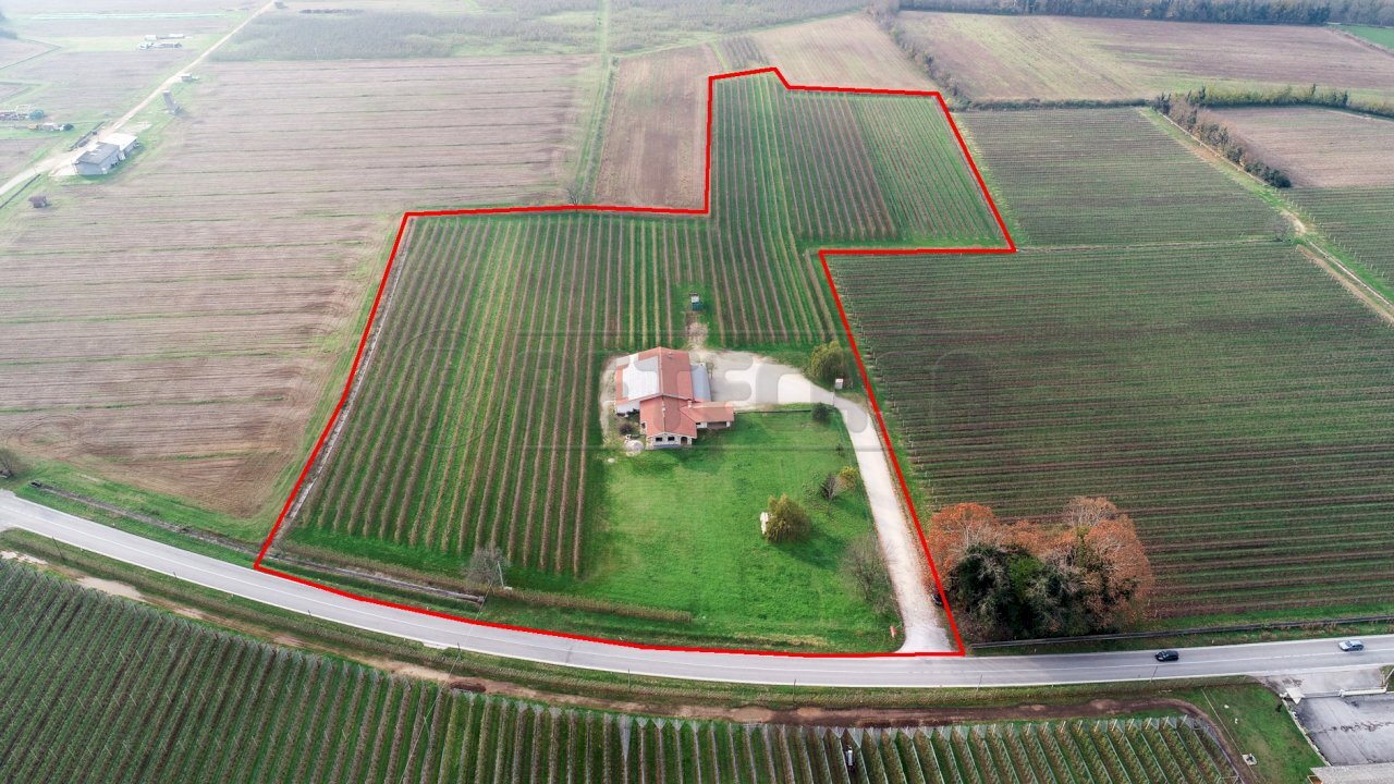 VISTA AEREA - Azienda agricola Via Morsano 89, Mortegliano - foto 1