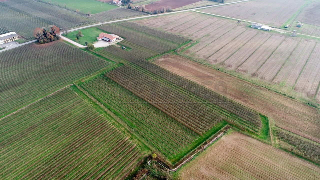 VISTA AEREA - Azienda agricola Via Morsano 89, Mortegliano - foto 2