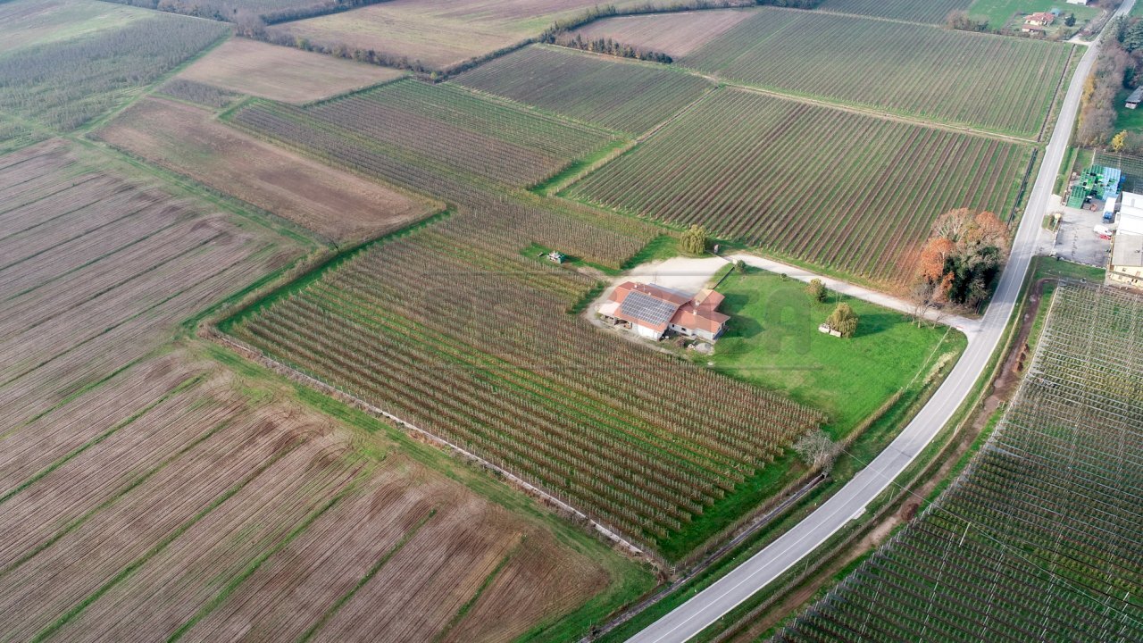VISTA AEREA - Azienda agricola Via Morsano 89, Mortegliano - foto 3